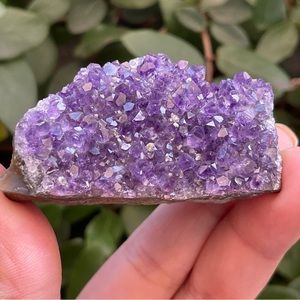 Amethyst Cluster